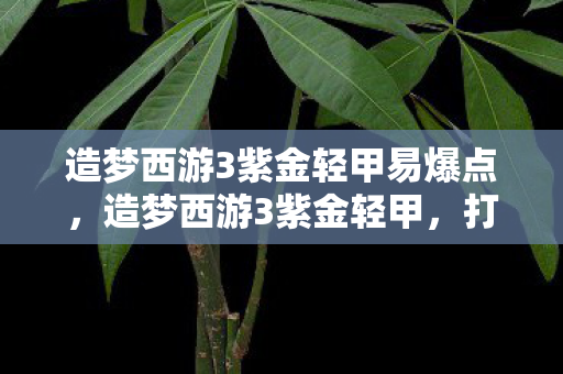 造梦西游3紫金轻甲易爆点，造梦西游3紫金轻甲，打造最强战力的必备神器