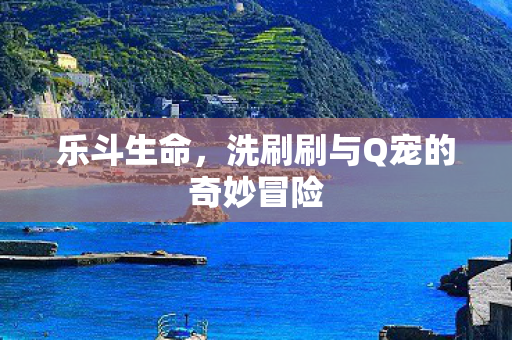 乐斗生命，洗刷刷与Q宠的奇妙冒险