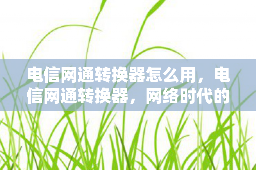 电信网通转换器怎么用，电信网通转换器，网络时代的桥梁