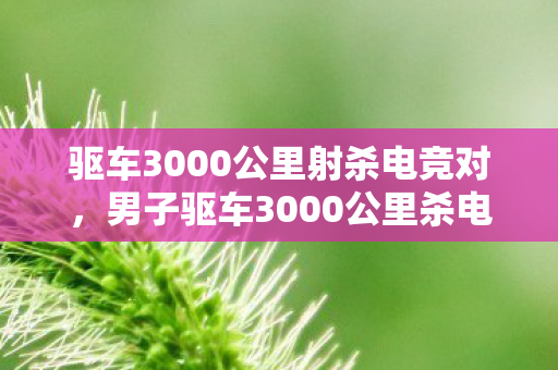 驱车3000公里射杀电竞对，男子驱车3000公里杀电竞对手，电竞暴力背后的深层原因