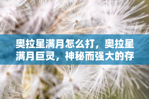 奥拉星满月怎么打，奥拉星满月巨灵，神秘而强大的存在
