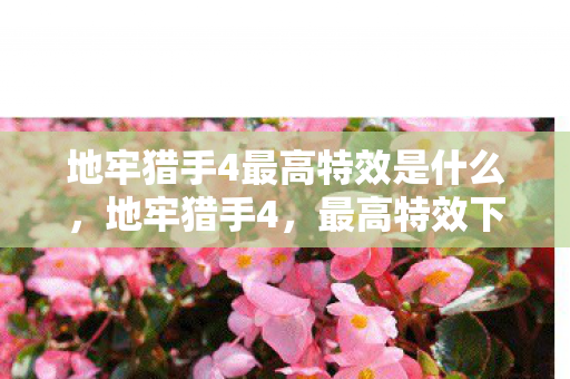 地牢猎手4最高特效是什么,地牢猎手4,最高特效下的魔幻之旅 地牢猎手4最高特效是什么,地牢猎手4,最高特效下的魔幻之旅