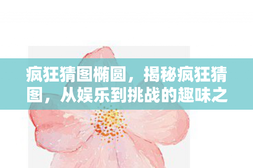 疯狂猜图椭圆，揭秘疯狂猜图，从娱乐到挑战的趣味之旅