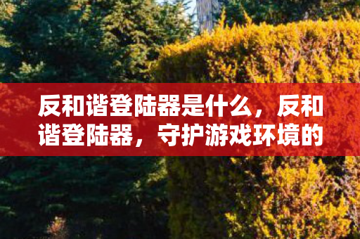 反和谐登陆器是什么,反和谐登陆器,守护游戏环境的双刃剑 反和谐登陆器是什么,反和谐登陆器,守护游戏环境的双刃剑