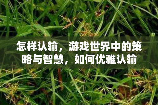 怎样认输，游戏世界中的策略与智慧，如何优雅认输