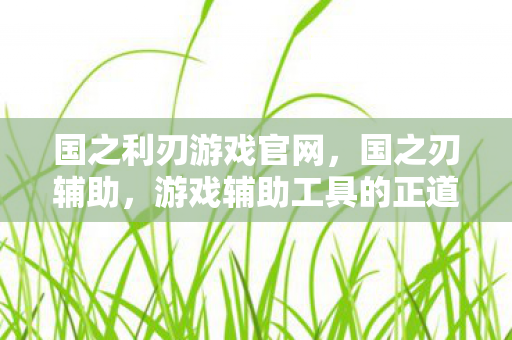 国之利刃游戏官网，国之刃辅助，游戏辅助工具的正道探索