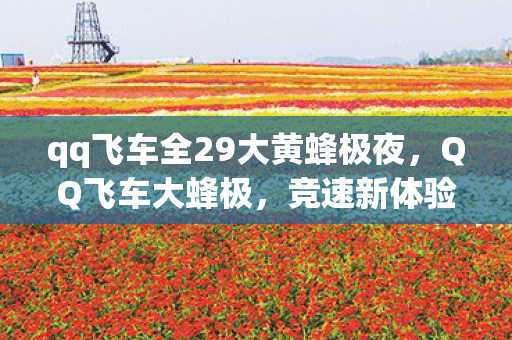 qq飞车全29大黄蜂极夜，QQ飞车大蜂极，竞速新体验，超越极限的驾驶之旅