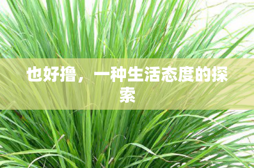 也好撸，一种生活态度的探索