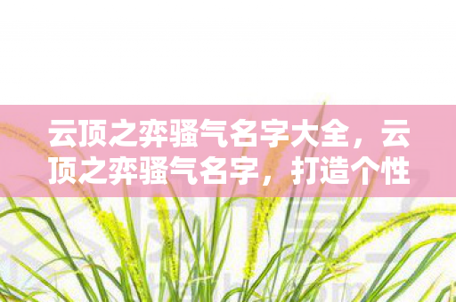 云顶之弈骚气名字大全，云顶之弈骚气名字，打造个性与策略的完美结合