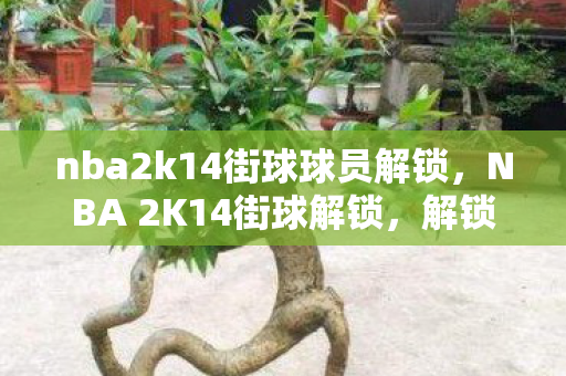 nba2k14街球球员解锁，NBA 2K14街球解锁，解锁你的篮球梦想
