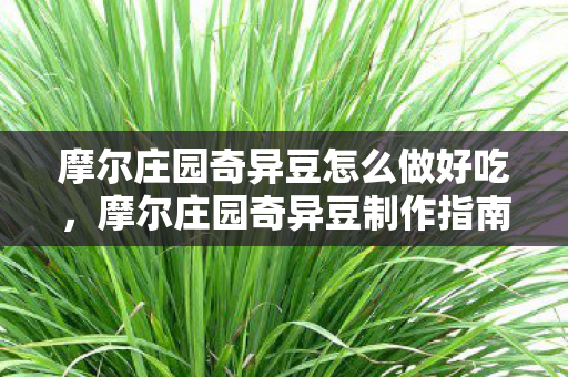 摩尔庄园奇异豆怎么做好吃，摩尔庄园奇异豆制作指南