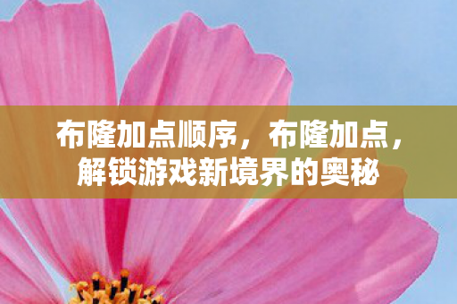 布隆加点顺序,布隆加点,解锁游戏新境界的奥秘 布隆加点顺序,布隆加点,解锁游戏新境界的奥秘