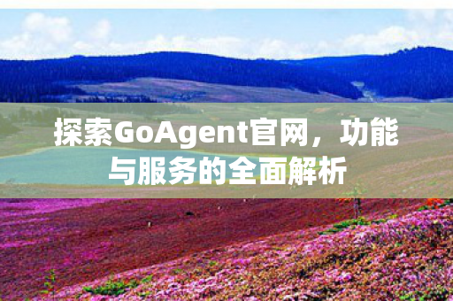 探索GoAgent官网，功能与服务的全面解析