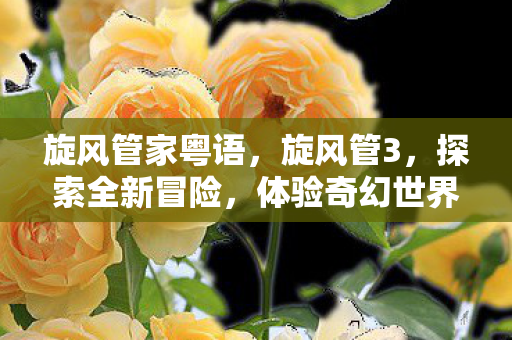 旋风管家粤语，旋风管3，探索全新冒险，体验奇幻世界