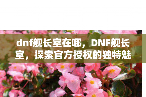 dnf舰长室在哪，DNF舰长室，探索官方授权的独特魅力