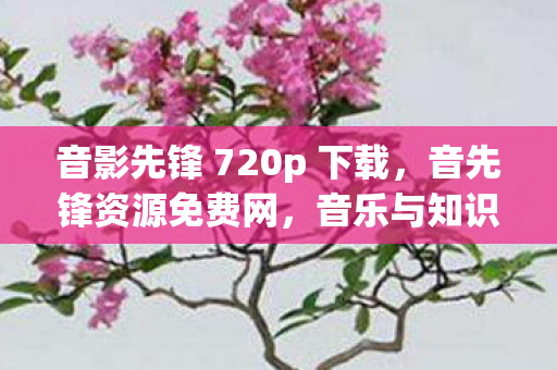 音影先锋 720p 下载，音先锋资源免费网，音乐与知识的免费盛宴