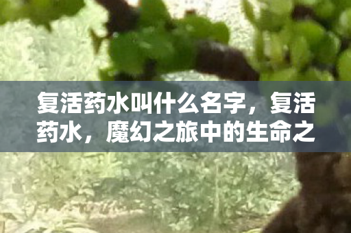 复活药水叫什么名字，复活药水，魔幻之旅中的生命之源