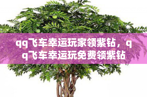 qq飞车幸运玩家领紫钻，qq飞车幸运玩免费领紫钻