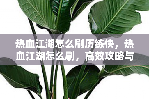 热血江湖怎么刷历练快，热血江湖怎么刷，高效攻略与技巧分享