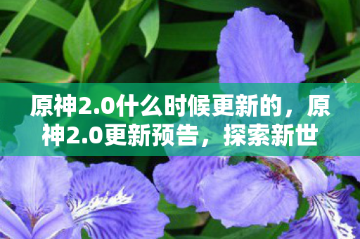 原神2.0什么时候更新的，原神2.0更新预告，探索新世界的序曲