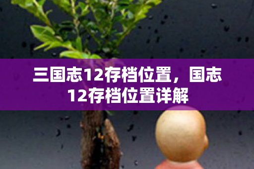 三国志12存档位置，国志12存档位置详解
