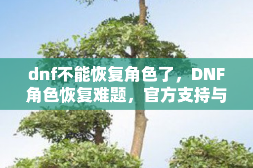 dnf不能恢复角色了，DNF角色恢复难题，官方支持与玩家自救的困境