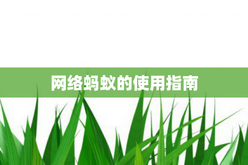 网络蚂蚁的使用指南