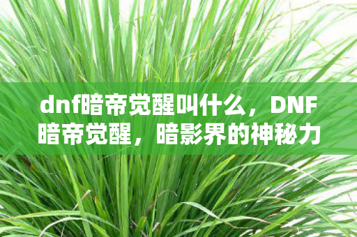 dnf暗帝觉醒叫什么，DNF暗帝觉醒，暗影界的神秘力量
