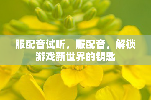 服配音试听，服配音，解锁游戏新世界的钥匙