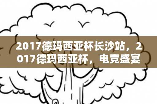 2017德玛西亚杯长沙站，2017德玛西亚杯，电竞盛宴的回顾与启示