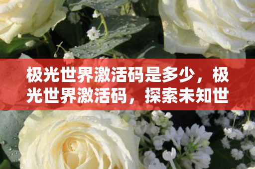 极光世界激活码是多少，极光世界激活码，探索未知世界的钥匙