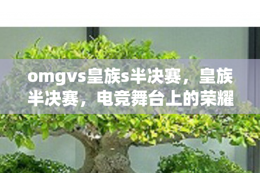 omgvs皇族s半决赛，皇族半决赛，电竞舞台上的荣耀与梦想