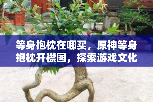 等身抱枕在哪买,原神等身抱枕开襟图,探索游戏文化的独特魅力 等身抱枕在哪买,原神等身抱枕开襟图,探索游戏文化的独特魅力