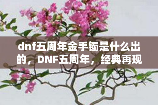 dnf五周年金手镯是什么出的，DNF五周年，经典再现，未来可期