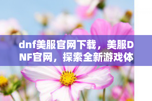 dnf美服官网下载，美服DNF官网，探索全新游戏体验