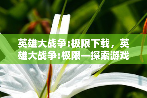 英雄大战争:极限下载，英雄大战争:极限—探索游戏世界的无限可能