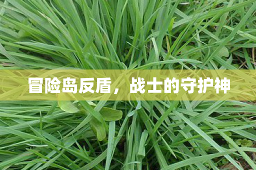 冒险岛反盾，战士的守护神