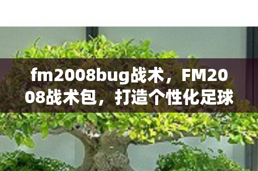fm2008bug战术，FM2008战术包，打造个性化足球战术的利器