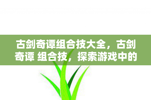 古剑奇谭组合技大全，古剑奇谭 组合技，探索游戏中的策略与美学