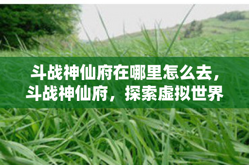斗战神仙府在哪里怎么去，斗战神仙府，探索虚拟世界的无限可能