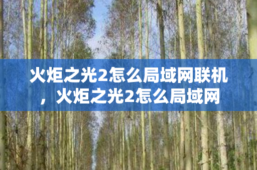 火炬之光2怎么局域网联机，火炬之光2怎么局域网
