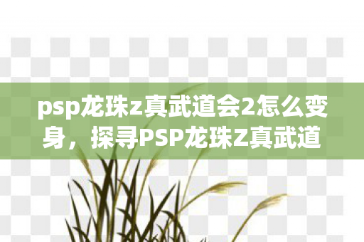 psp龙珠z真武道会2怎么变身，探寻PSP龙珠Z真武道会2的无限可能