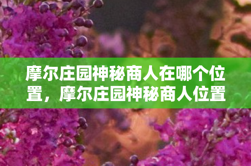 摩尔庄园神秘商人在哪个位置，摩尔庄园神秘商人位置揭秘
