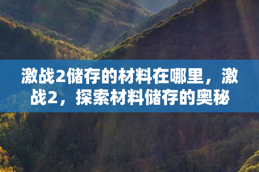 激战2储存的材料在哪里，激战2，探索材料储存的奥秘
