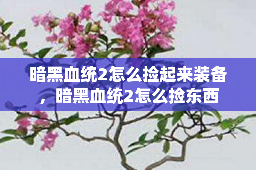 暗黑血统2怎么捡起来装备，暗黑血统2怎么捡东西