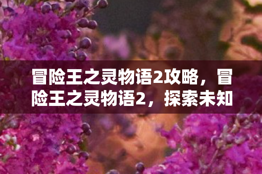 冒险王之灵物语2攻略，冒险王之灵物语2，探索未知世界的奇幻之旅