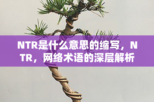 NTR是什么意思的缩写，NTR，网络术语的深层解析