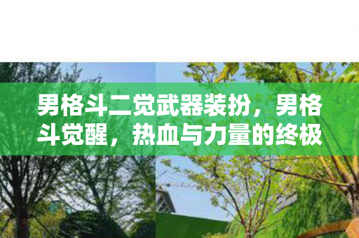 男格斗二觉武器装扮，男格斗觉醒，热血与力量的终极爆发