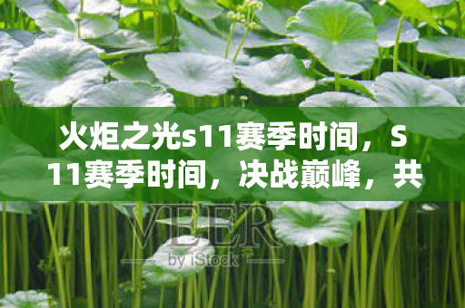 火炬之光s11赛季时间，S11赛季时间，决战巅峰，共赴荣耀