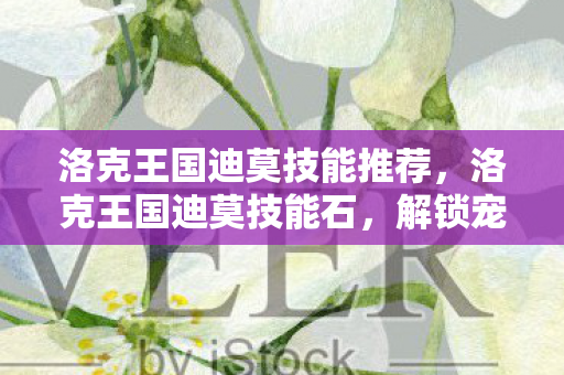 洛克王国迪莫技能推荐，洛克王国迪莫技能石，解锁宠物无限可能的神秘钥匙